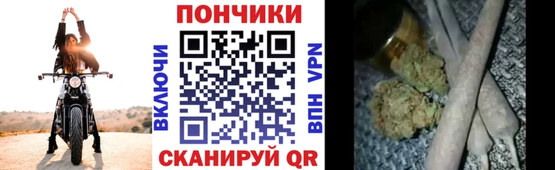 продажа наркотиков  Малаховка  Каннабис Amnesia 